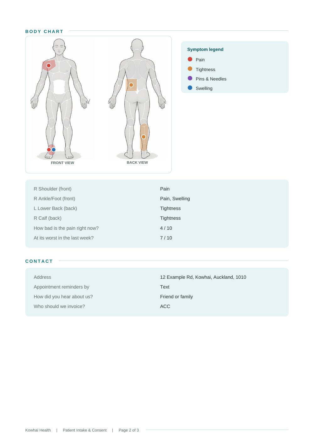 Sample intake PDF: the body chart, the marked areas and pain scores
